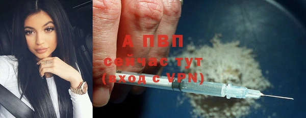 ГАЛЛЮЦИНОГЕННЫЕ ГРИБЫ Белокуриха