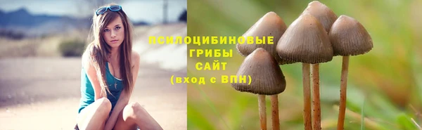 марки lsd Белоозёрский