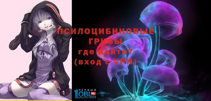 Галлюциногенные грибы MAGIC MUSHROOMS  наркотики  Городовиковск 